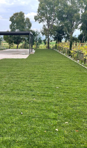 rifacimento giardino bonus verde