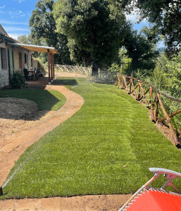 Realizzazione giardini e piscine biodesign